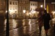 Rainer-Spätheimkehrer_Bild des Monats Oktober.jpg