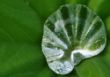 08-Gabi Wassertropfen .jpg