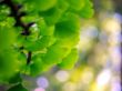 Heinz_Frühling_B5180335-Bearbeitet.jpg