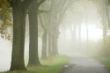 Herbstblues_Thomas_9.jpg