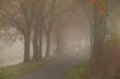 Herbstblues_Thomas_8.jpg