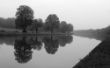 Herbst-Blues Wilhelm 5#.jpg