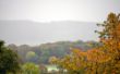 Heinz_P1306752-B.jpg