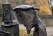 Andreas_Herbstblues_DenkmalDSC_6205f.jpg
