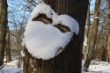 20_Ludger_Hingucker_Schneegesicht.jpg